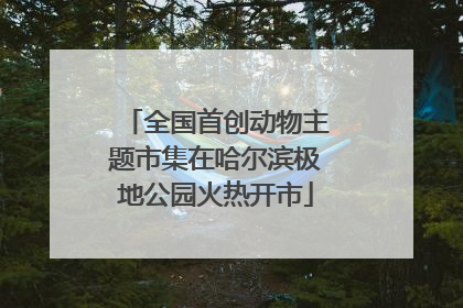 全国首创动物主题市集在哈尔滨极地公园火热开市