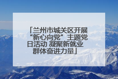 兰州市城关区开展“新心向党”主题党日活动 凝聚新就业群体奋进力量