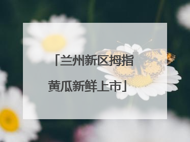 兰州新区拇指黄瓜新鲜上市