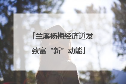 兰溪杨梅经济迸发致富“新”动能