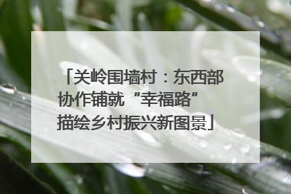 关岭围墙村：东西部协作铺就“幸福路” 描绘乡村振兴新图景