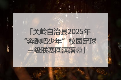 关岭自治县2025年“奔跑吧少年”校园足球三级联赛圆满落幕