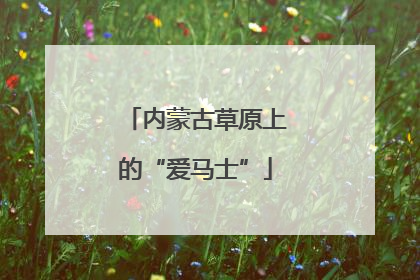 内蒙古草原上的“爱马士”