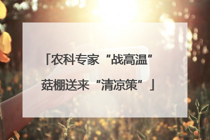 农科专家“战高温” 菇棚送来“清凉策”