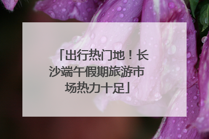 出行热门地！长沙端午假期旅游市场热力十足