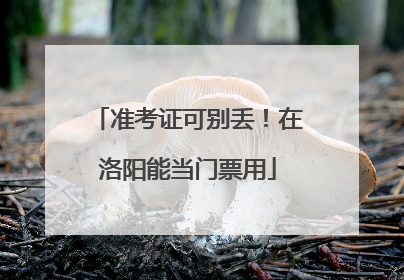 准考证可别丢！在洛阳能当门票用