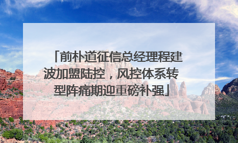 前朴道征信总经理程建波加盟陆控，风控体系转型阵痛期迎重磅补强