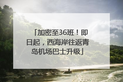 加密至36班！即日起，西海岸往返青岛机场巴士升级