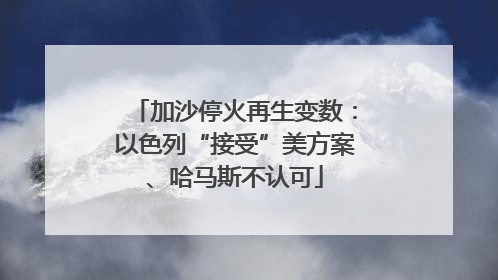 加沙停火再生变数：以色列“接受”美方案、哈马斯不认可