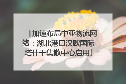 加速布局中亚物流网络：湖北港口汉欧国际塔什干集散中心启用