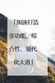 加速打造多功能、综合性、现代化大港