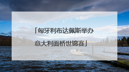 匈牙利布达佩斯举办意大利面桥世锦赛