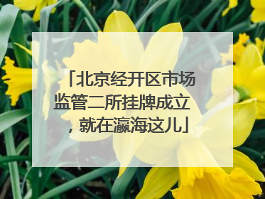北京经开区市场监管二所挂牌成立，就在瀛海这儿