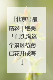 北京号最精彩｜绝美！门头沟这个景区芍药已花开成海