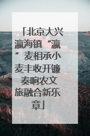 北京大兴瀛海镇“瀛”麦相承小麦丰收开镰 奏响农文旅融合新乐章
