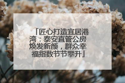 匠心打造宜居港湾：泰安直管公房焕发新颜，群众幸福指数节节攀升