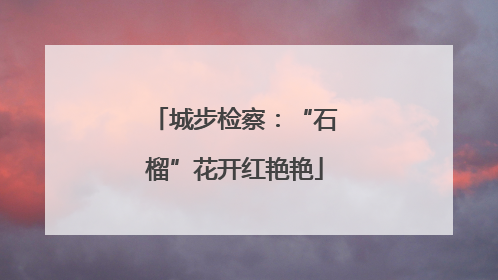城步检察：“石榴”花开红艳艳