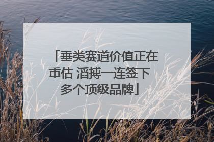 垂类赛道价值正在重估 滔搏一连签下多个顶级品牌