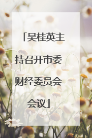 吴桂英主持召开市委财经委员会会议