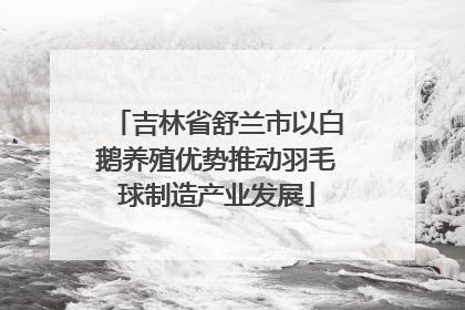 吉林省舒兰市以白鹅养殖优势推动羽毛球制造产业发展