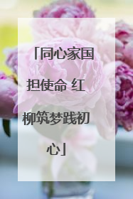 同心家国担使命 红柳筑梦践初心
