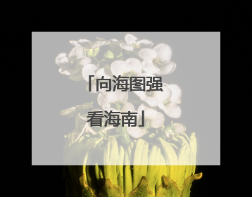向海图强看海南