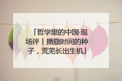 哲学里的中国·现场评丨播撒时间的种子，荒芜长出生机