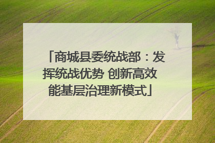 商城县委统战部：发挥统战优势 创新高效能基层治理新模式
