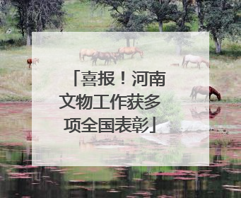喜报！河南文物工作获多项全国表彰