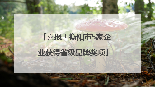 喜报！衡阳市5家企业获得省级品牌奖项