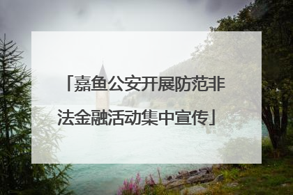 嘉鱼公安开展防范非法金融活动集中宣传