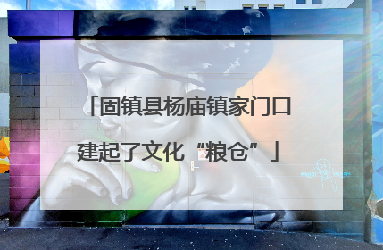 固镇县杨庙镇家门口建起了文化“粮仓”