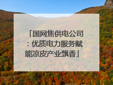 国网焦供电公司：优质电力服务赋能凉皮产业飘香