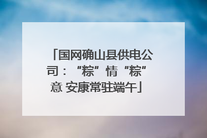 国网确山县供电公司：“粽”情“粽”意 安康常驻端午