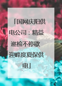 国网庆阳供电公司：精益巡检不停歇 迎峰度夏保供电
