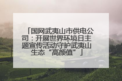国网武夷山市供电公司：开展世界环境日主题宣传活动守护武夷山生态“高颜值”