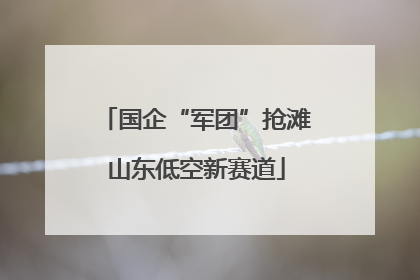 国企“军团”抢滩山东低空新赛道