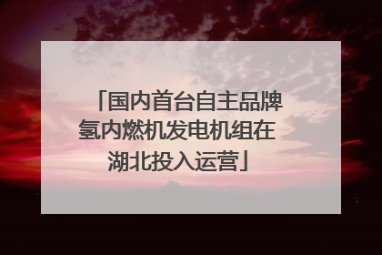 国内首台自主品牌氢内燃机发电机组在湖北投入运营