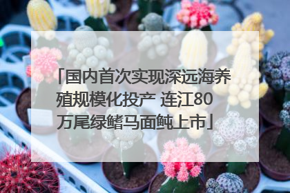 国内首次实现深远海养殖规模化投产 连江80万尾绿鳍马面鲀上市