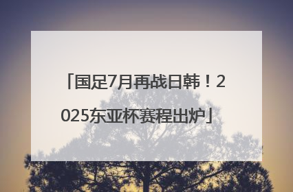 国足7月再战日韩！2025东亚杯赛程出炉