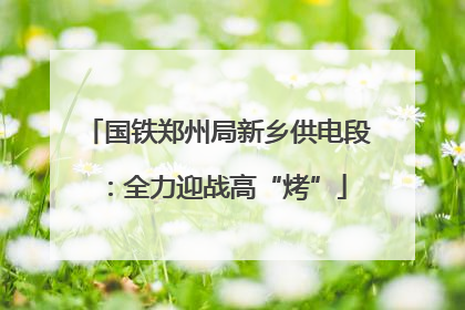 国铁郑州局新乡供电段：全力迎战高“烤”
