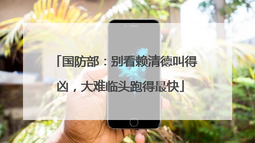 国防部：别看赖清德叫得凶，大难临头跑得最快