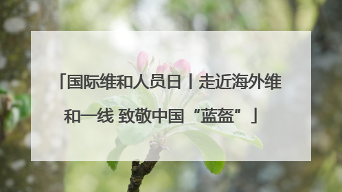 国际维和人员日丨走近海外维和一线 致敬中国“蓝盔”