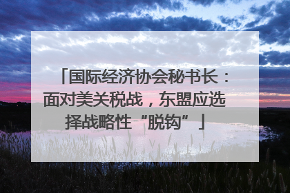 国际经济协会秘书长：面对美关税战，东盟应选择战略性“脱钩”