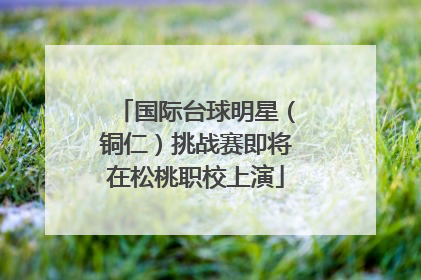 国际台球明星（铜仁）挑战赛即将在松桃职校上演