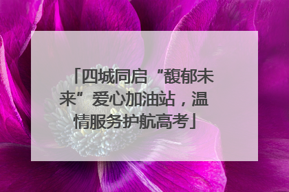 四城同启“馥郁未来”爱心加油站，温情服务护航高考