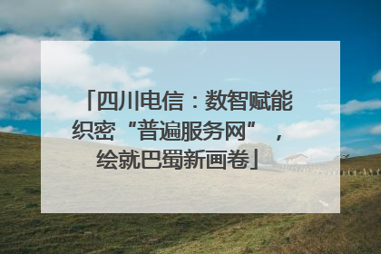 四川电信：数智赋能织密“普遍服务网”，绘就巴蜀新画卷