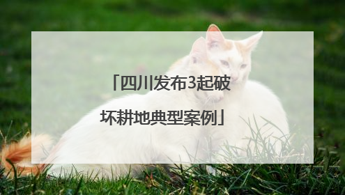四川发布3起破坏耕地典型案例