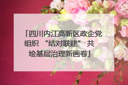 四川内江高新区政企党组织 “结对联建” 共绘基层治理新画卷