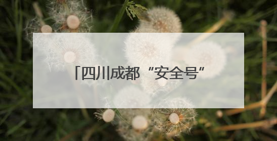 四川成都“安全号”主题地铁列车开启沉浸式安全科普之旅